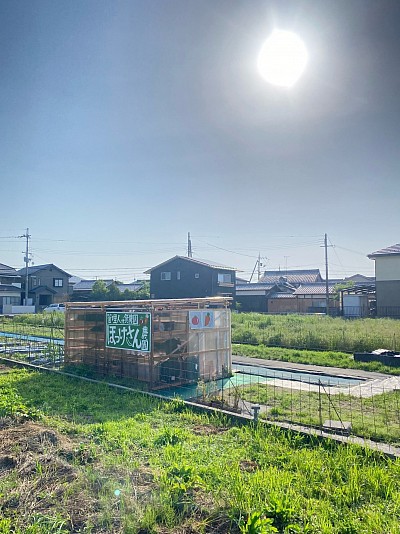 湖西線、湖西道路から見えますよ〜