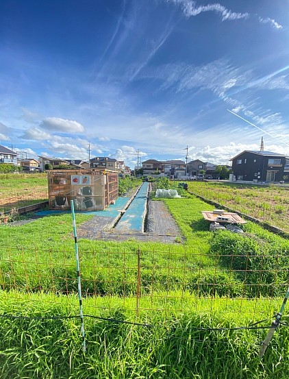 夏の農園 6区画で始まり 9区画 で秋 冬野菜が始まりました