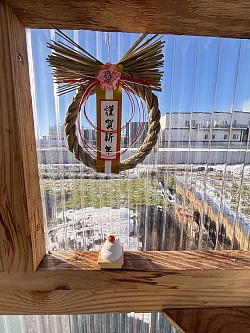 小屋から 新春の陽射し