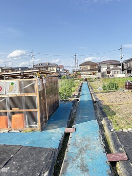 2026年5月