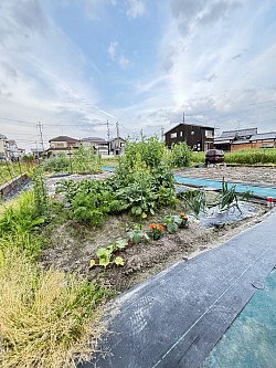 2026年5月